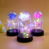 Artificial Glass Flower with Eternal Rose of the LED Light for Women Beauty and Beast Rose Birthday Gifts for Girls Christmas