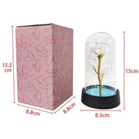 Artificial Glass Flower with Eternal Rose of the LED Light for Women Beauty and Beast Rose Birthday Gifts for Girls Christmas