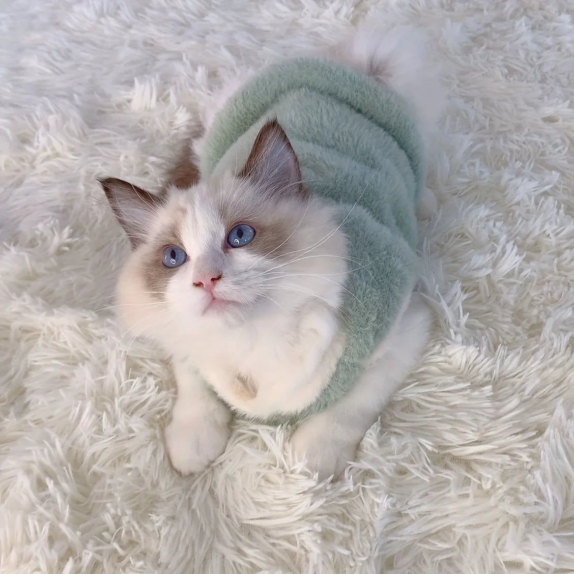1pc Adorable Autumn and Winter Cat Winter Clothes,Thickened Vest for Warmth,Anti-Fall Design for Puppies,Kittens,and Small Pets